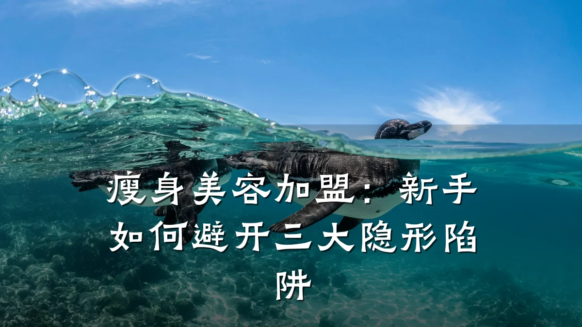 瘦身美容加盟:新手如何避开三大隐形陷阱