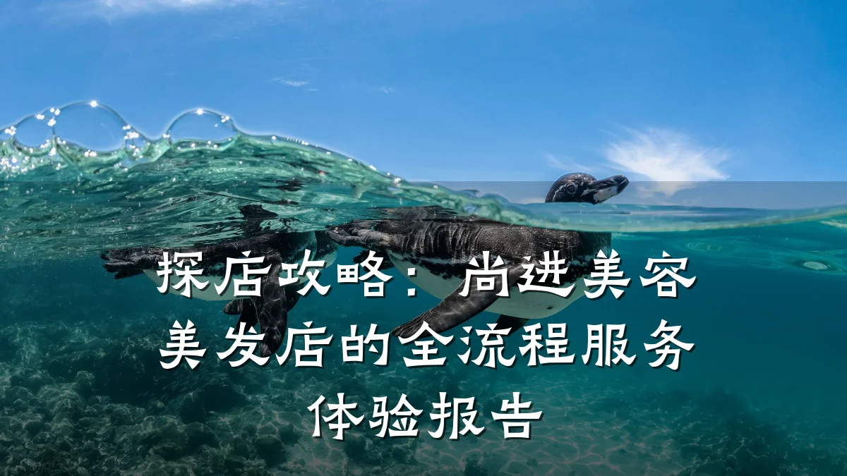 探店攻略:尚进美容美发店的全流程服务体验报告