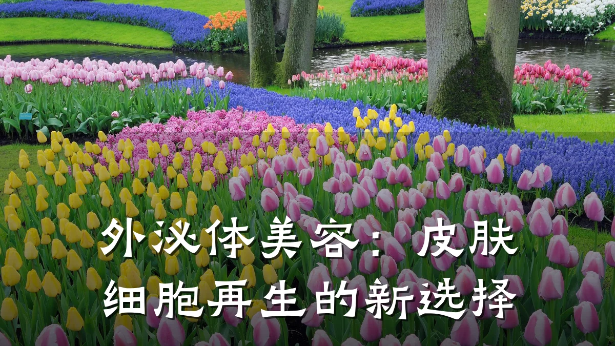 外泌体美容:皮肤细胞再生的新选择