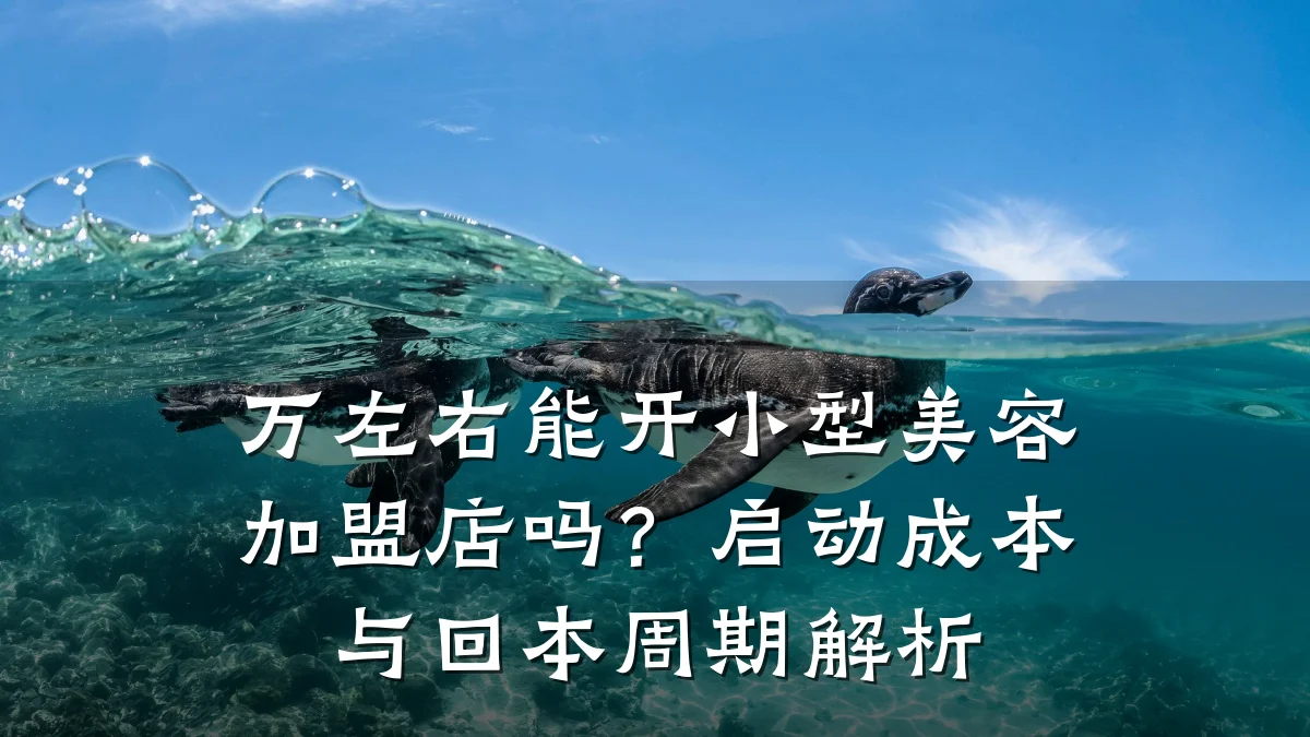 万左右能开小型美容加盟店吗?启动成本与回本周期解析