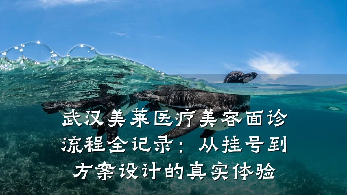 武汉美莱医疗美容面诊流程全记录:从挂号到方案设计的真实体验