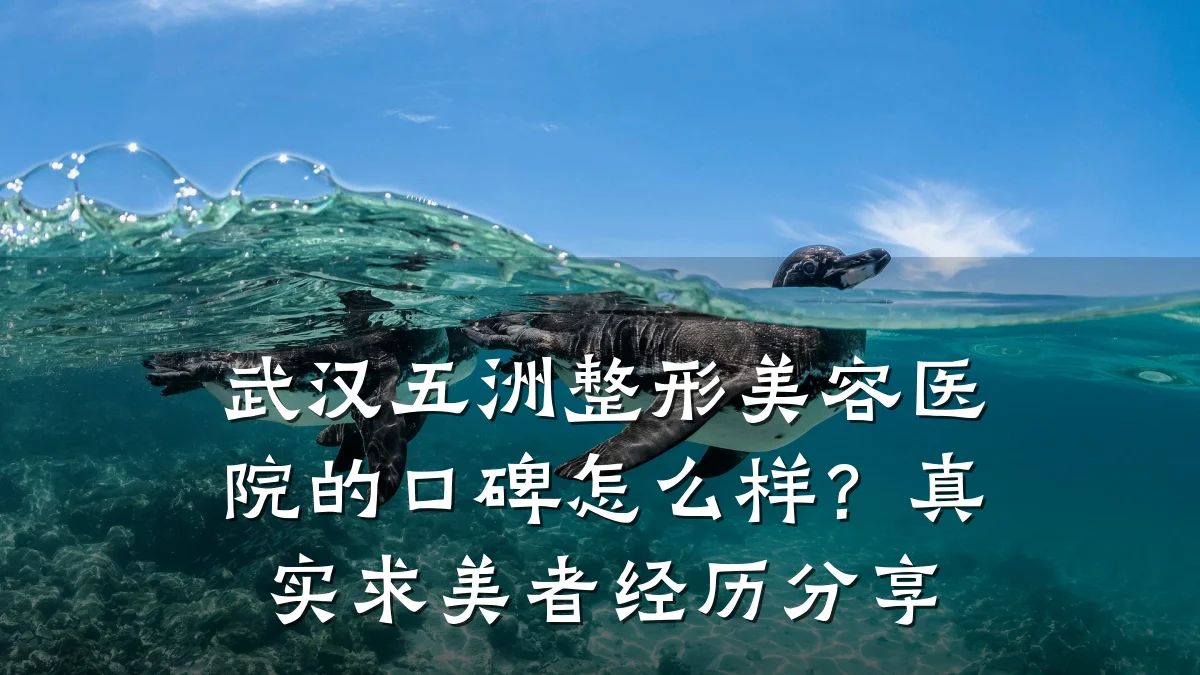 武汉五洲整形美容医院的口碑怎么样?真实求美者经历分享