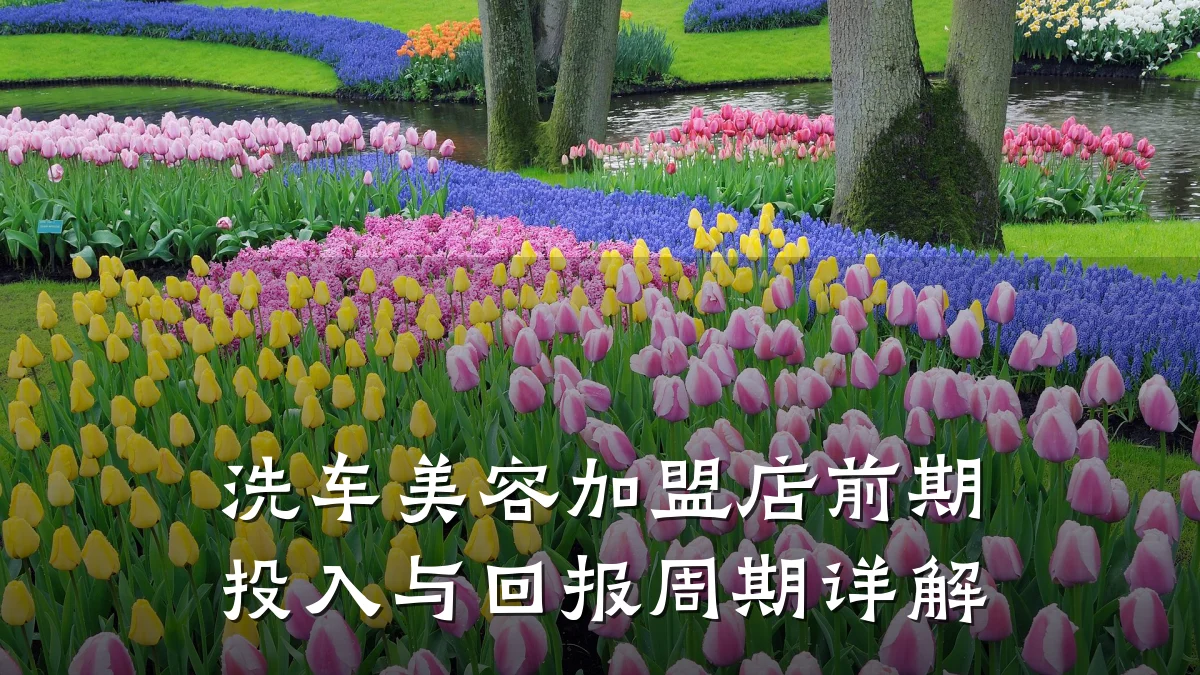 洗车美容加盟店前期投入与回报周期详解
