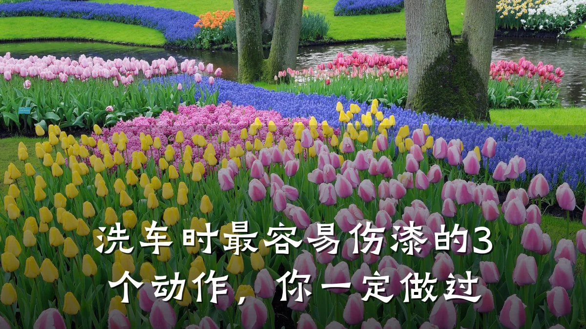 洗车时最容易伤漆的3个动作,你一定做过