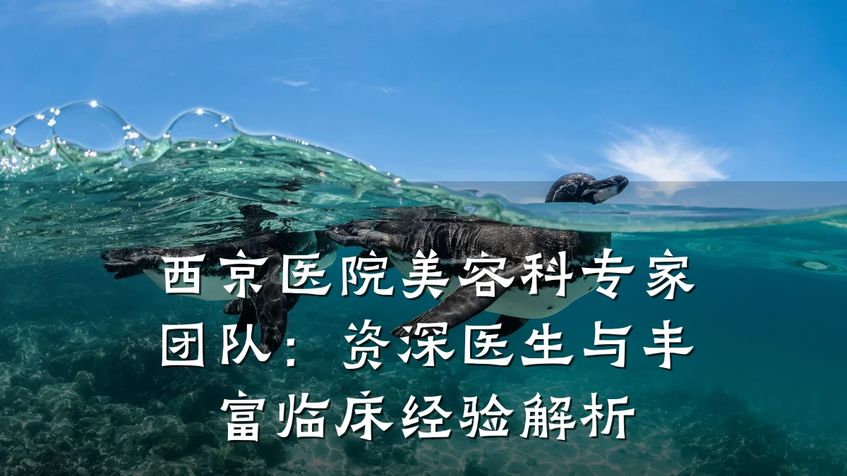 西京医院美容科专家团队:资深医生与丰富临床经验解析