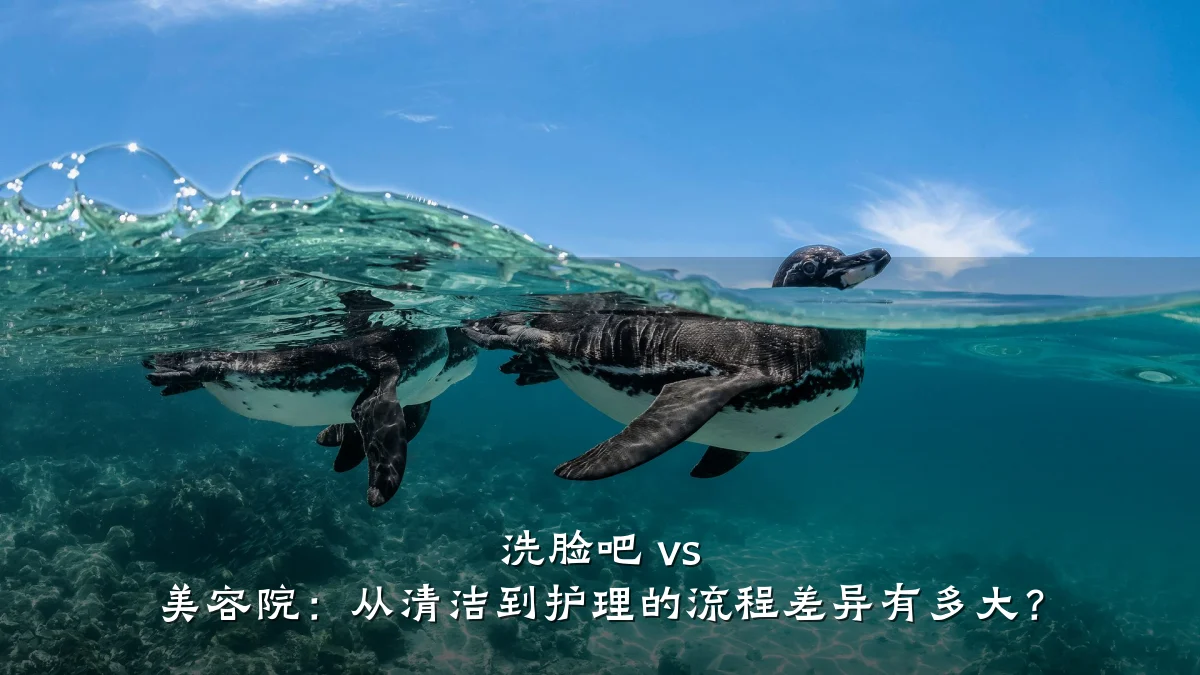 洗脸吧 vs 美容院:从清洁到护理的流程差异有多大?