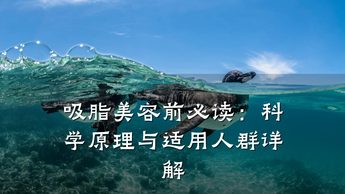 吸脂美容前必读:科学原理与适用人群详解