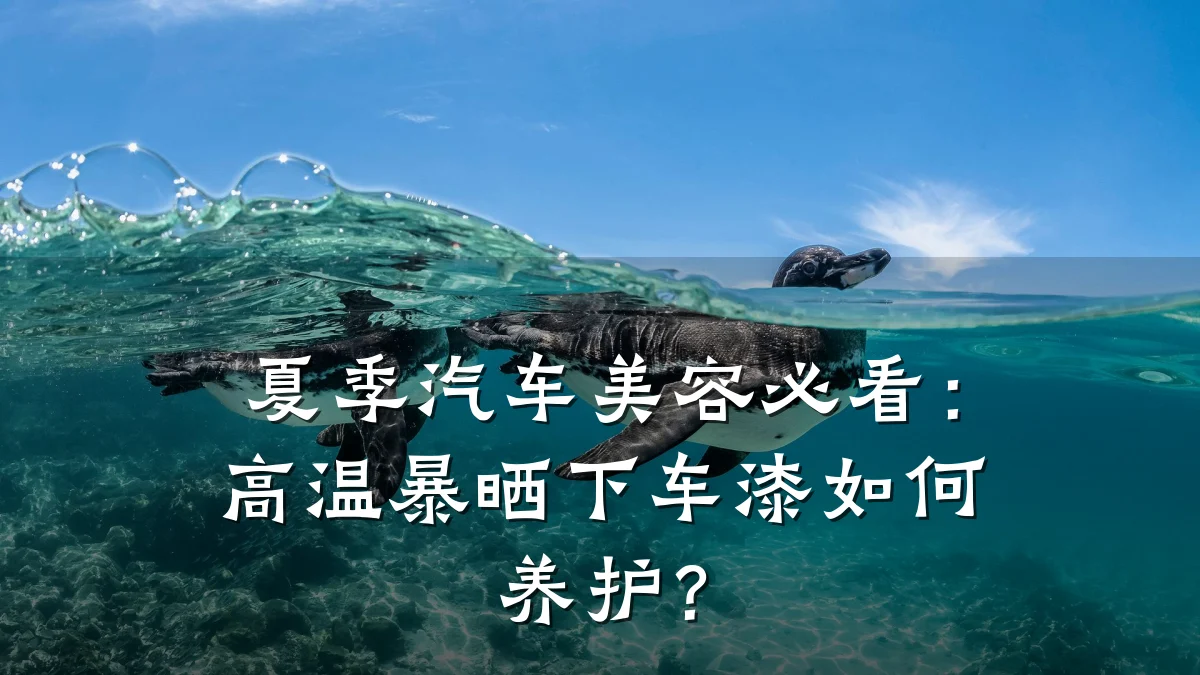 夏季汽车美容必看:高温暴晒下车漆如何养护?
