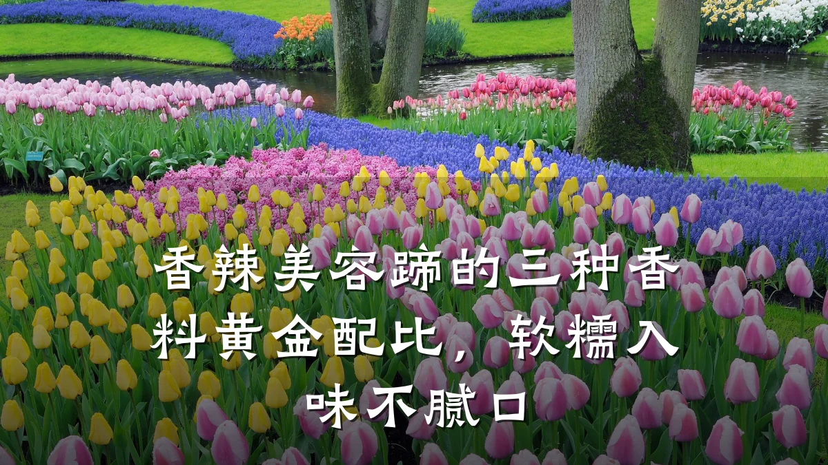 香辣美容蹄的三种香料黄金配比,软糯入味不腻口