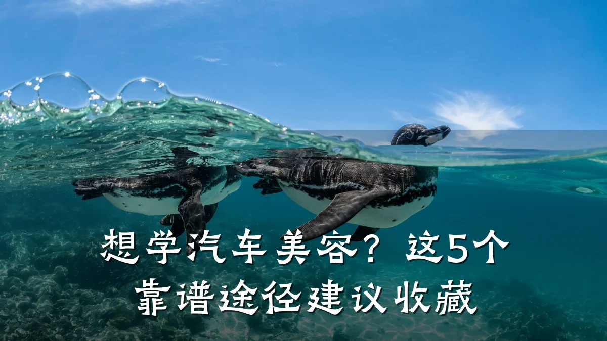 想学汽车美容?这5个靠谱途径建议收藏
