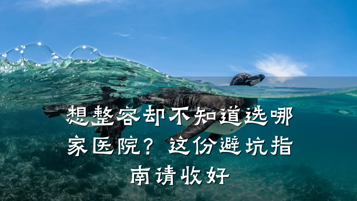 想整容却不知道选哪家医院？这份避坑指南请收好