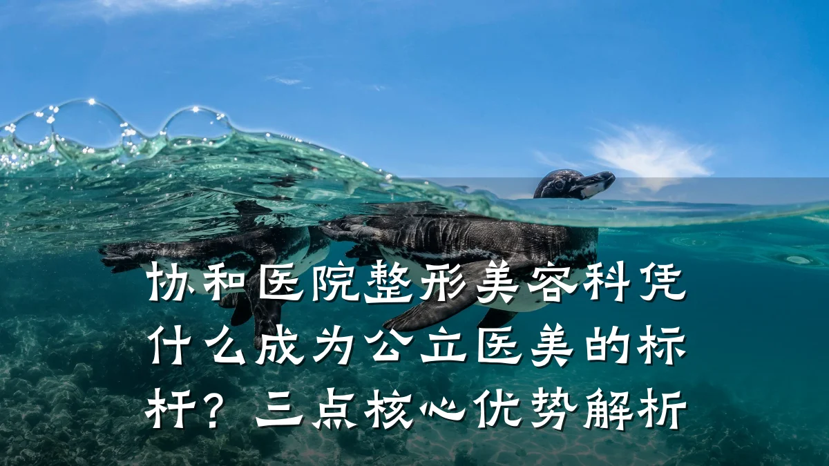 协和医院整形美容科凭什么成为公立医美的标杆?三点核心优势解析