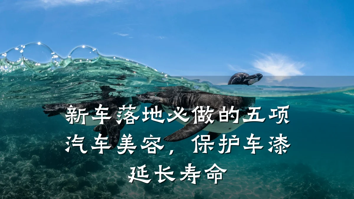 新车落地必做的五项汽车美容,保护车漆延长寿命