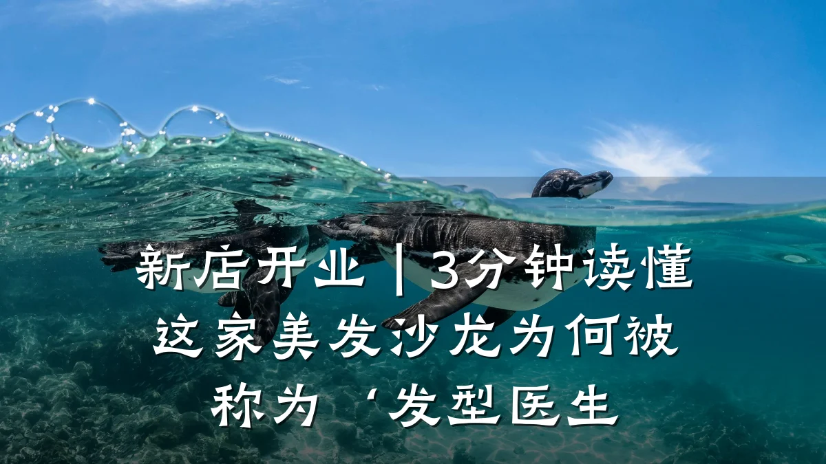 新店开业｜3分钟读懂这家美发沙龙为何被称为‘发型医生
