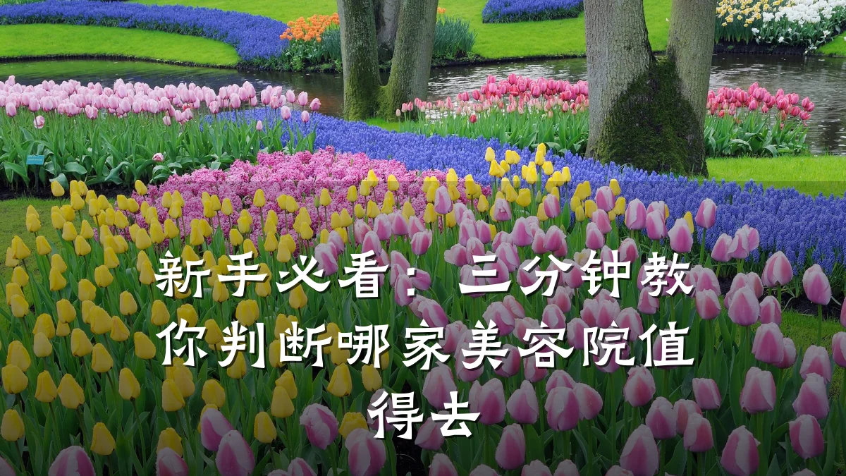新手必看:三分钟教你判断哪家美容院值得去