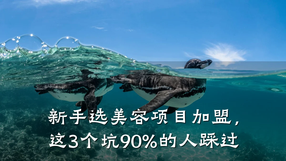 新手选美容项目加盟,这3个坑90%的人踩过