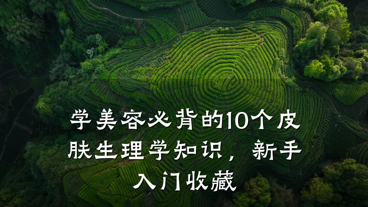 学美容必背的10个皮肤生理学知识,新手入门收藏
