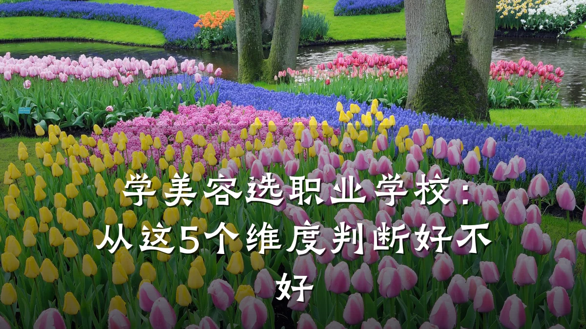 学美容选职业学校:从这5个维度判断好不好