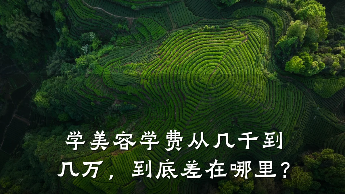 学美容学费从几千到几万,到底差在哪里?