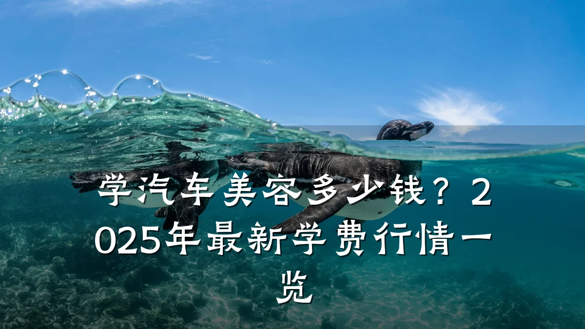 学汽车美容多少钱?2025年最新学费行情一览