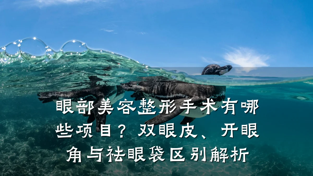 眼部美容整形手术有哪些项目？双眼皮、开眼角与祛眼袋区别解析