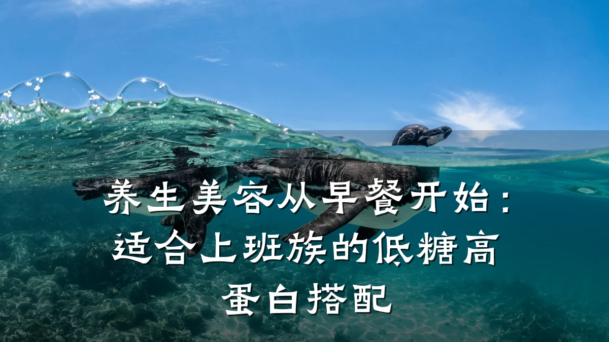 养生美容从早餐开始:适合上班族的低糖高蛋白搭配