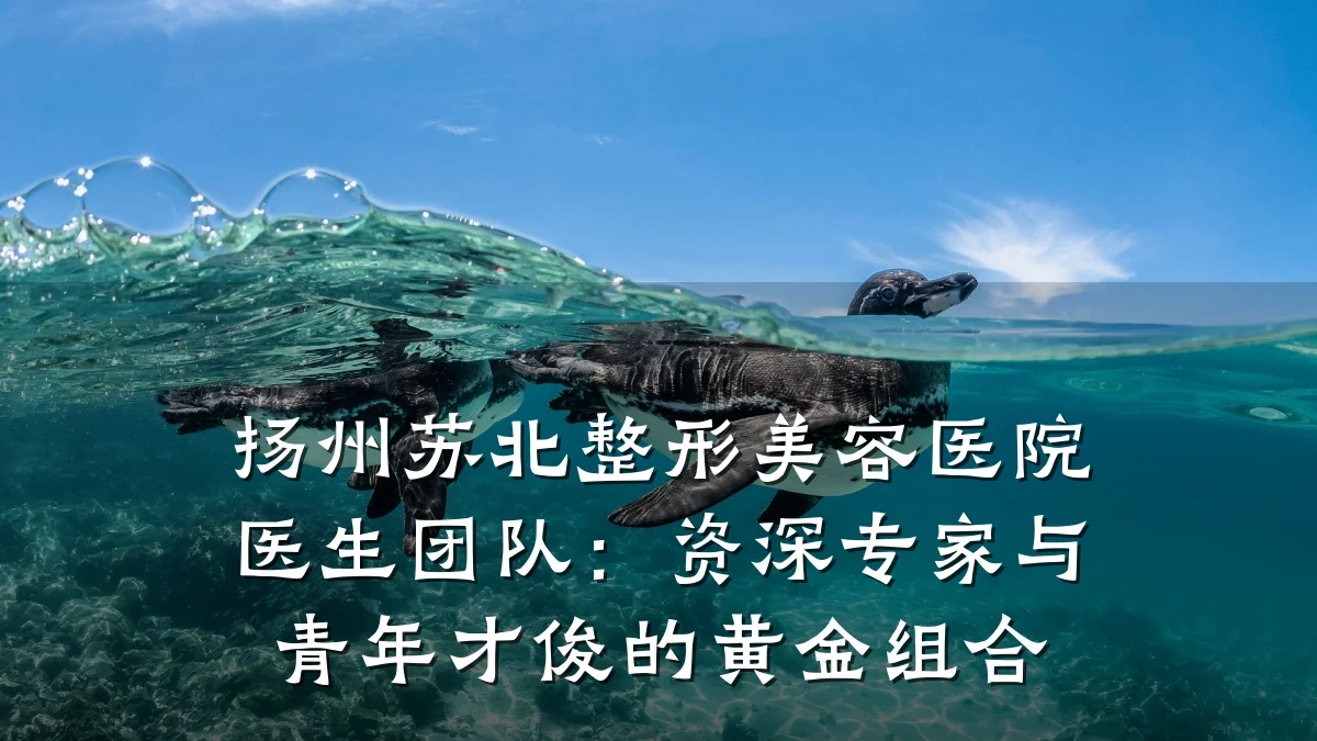 扬州苏北整形美容医院医生团队：资深专家与青年才俊的黄金组合
