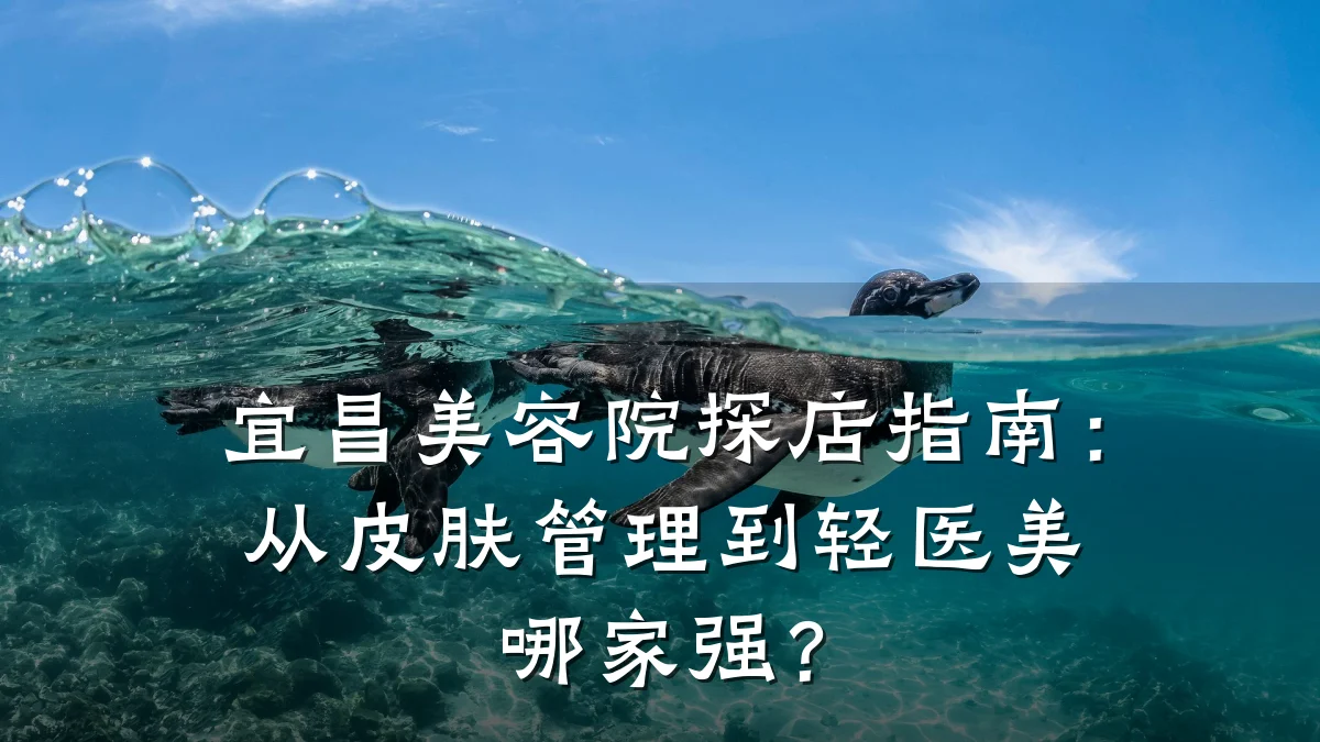宜昌美容院探店指南:从皮肤管理到轻医美哪家强?