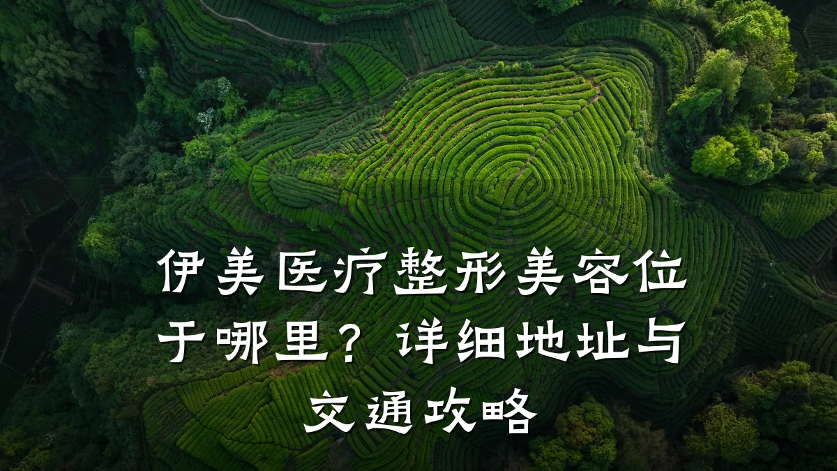 伊美医疗整形美容位于哪里?详细地址与交通攻略