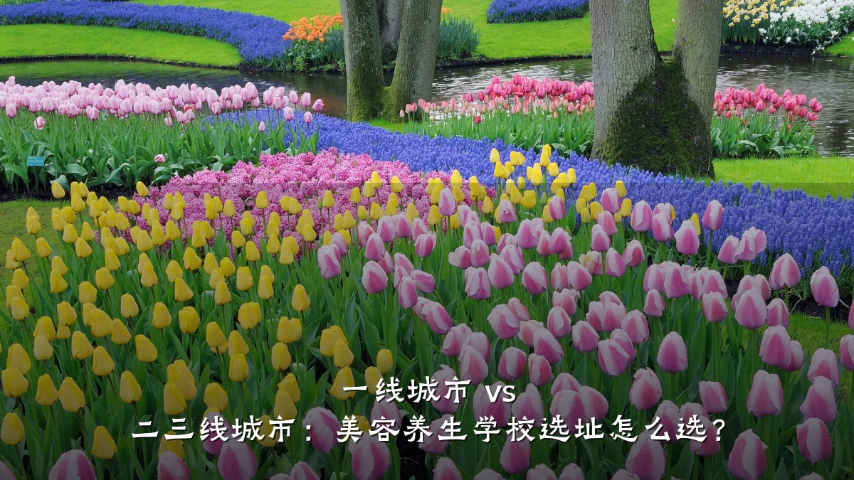 一线城市 vs 二三线城市:美容养生学校选址怎么选?