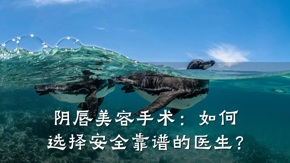 阴唇美容手术:如何选择安全靠谱的医生?