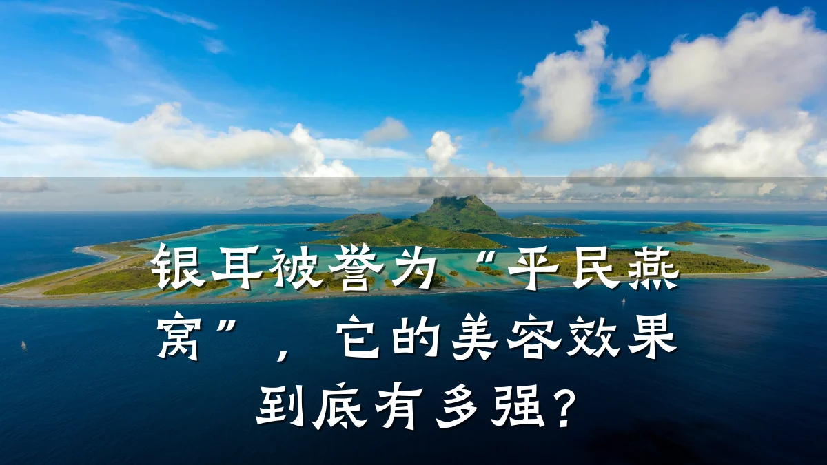 银耳被誉为“平民燕窝”，它的美容效果到底有多强？