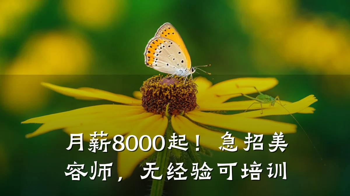 月薪8000起！急招美容师，无经验可培训