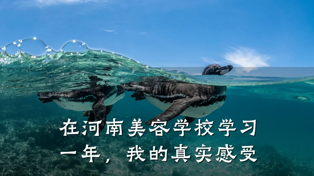 在河南美容学校学习一年,我的真实感受