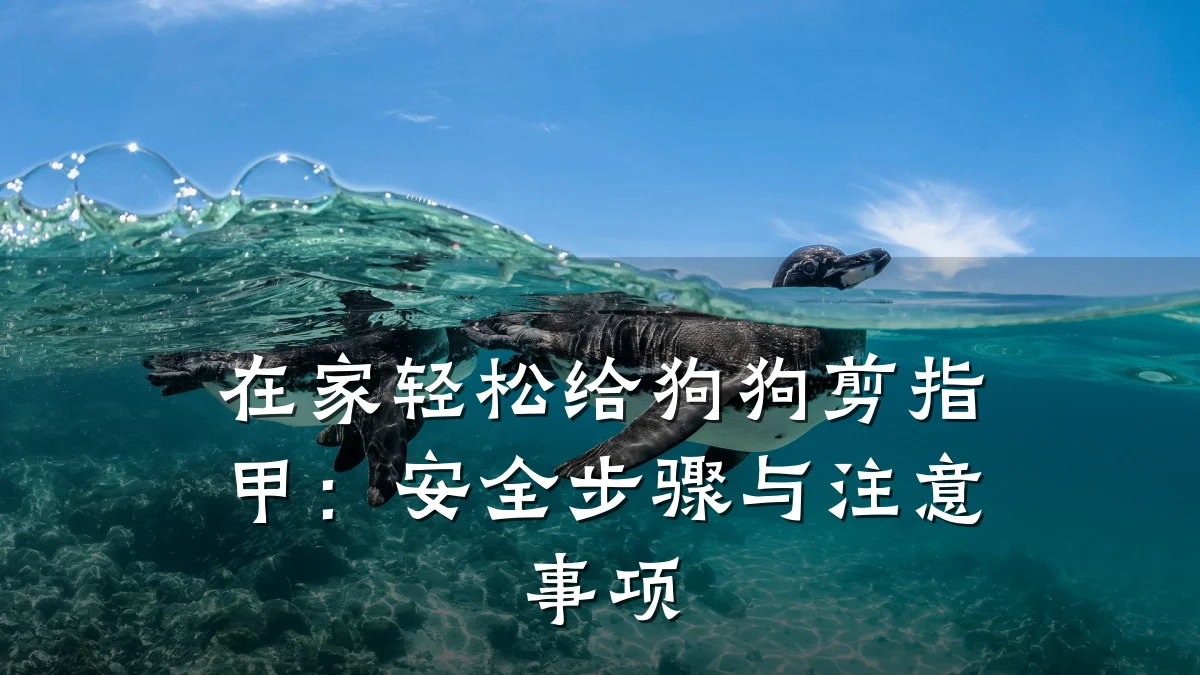 在家轻松给狗狗剪指甲:安全步骤与注意事项
