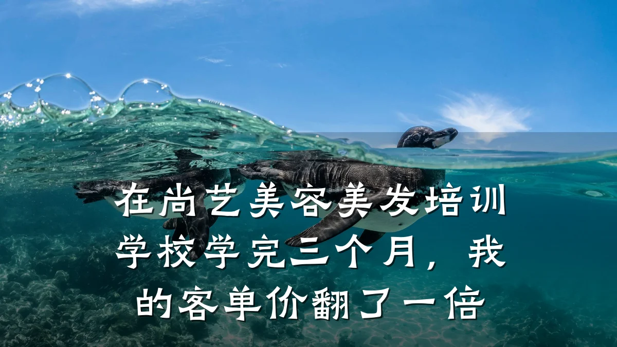 在尚艺美容美发培训学校学完三个月,我的客单价翻了一倍