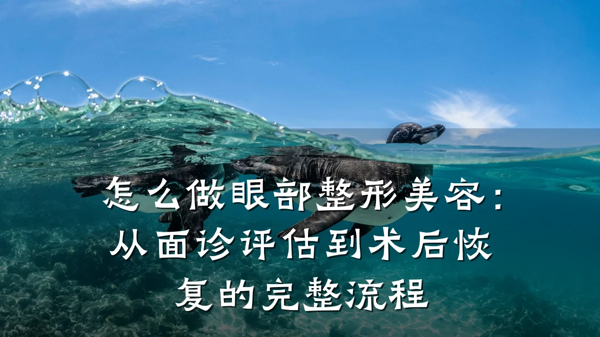 怎么做眼部整形美容:从面诊评估到术后恢复的完整流程