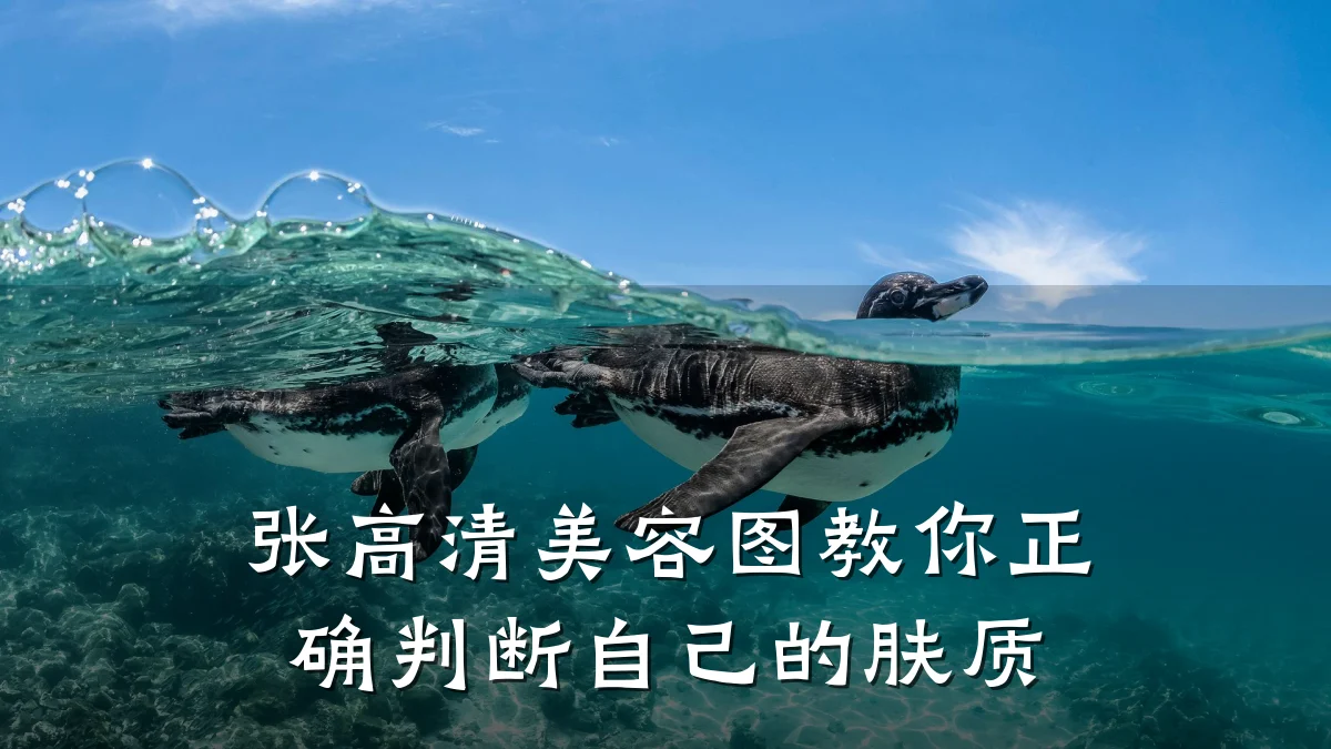 张高清美容图教你正确判断自己的肤质