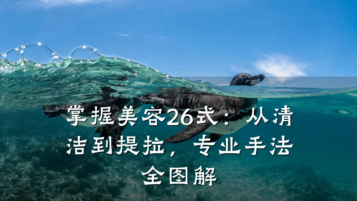 掌握美容26式：从清洁到提拉，专业手法全图解
