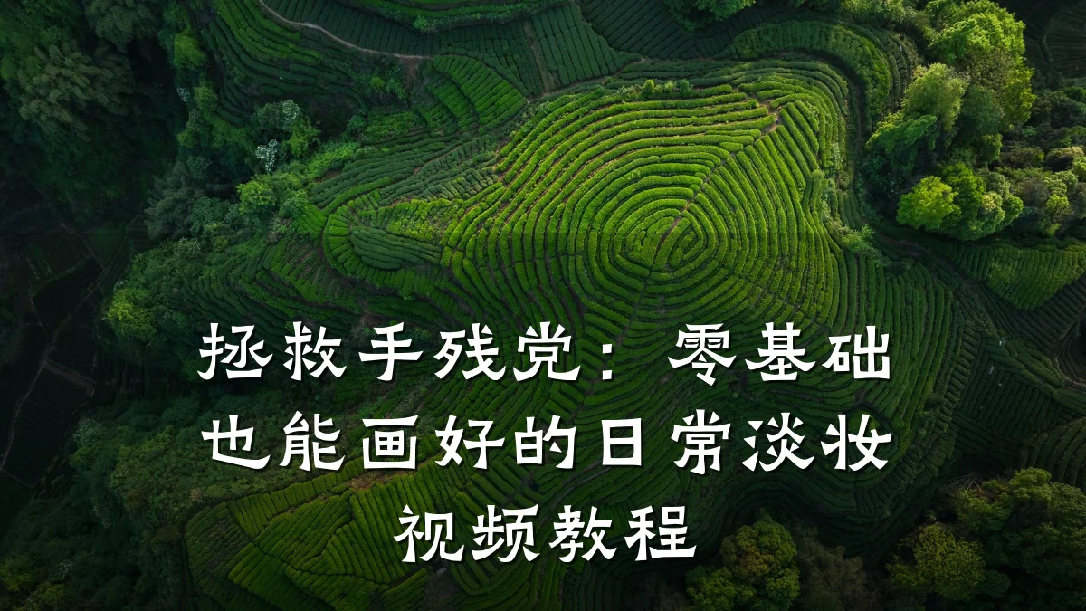 拯救手残党:零基础也能画好的日常淡妆视频教程