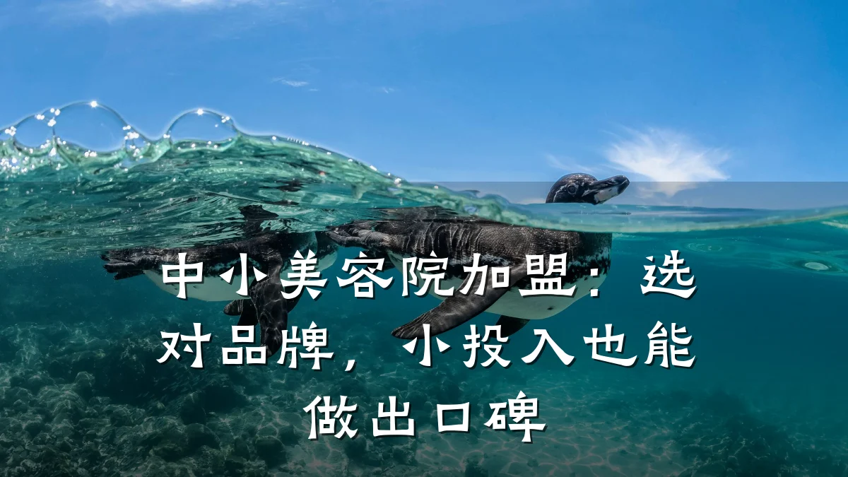 中小美容院加盟:选对品牌,小投入也能做出口碑