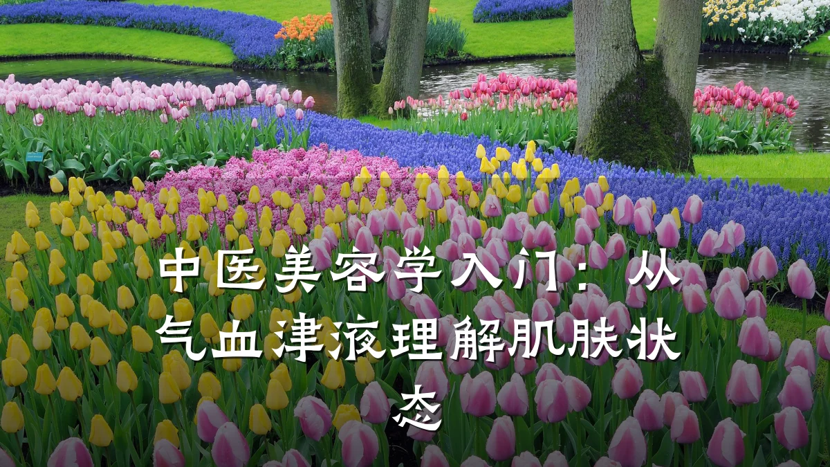 中医美容学入门:从气血津液理解肌肤状态