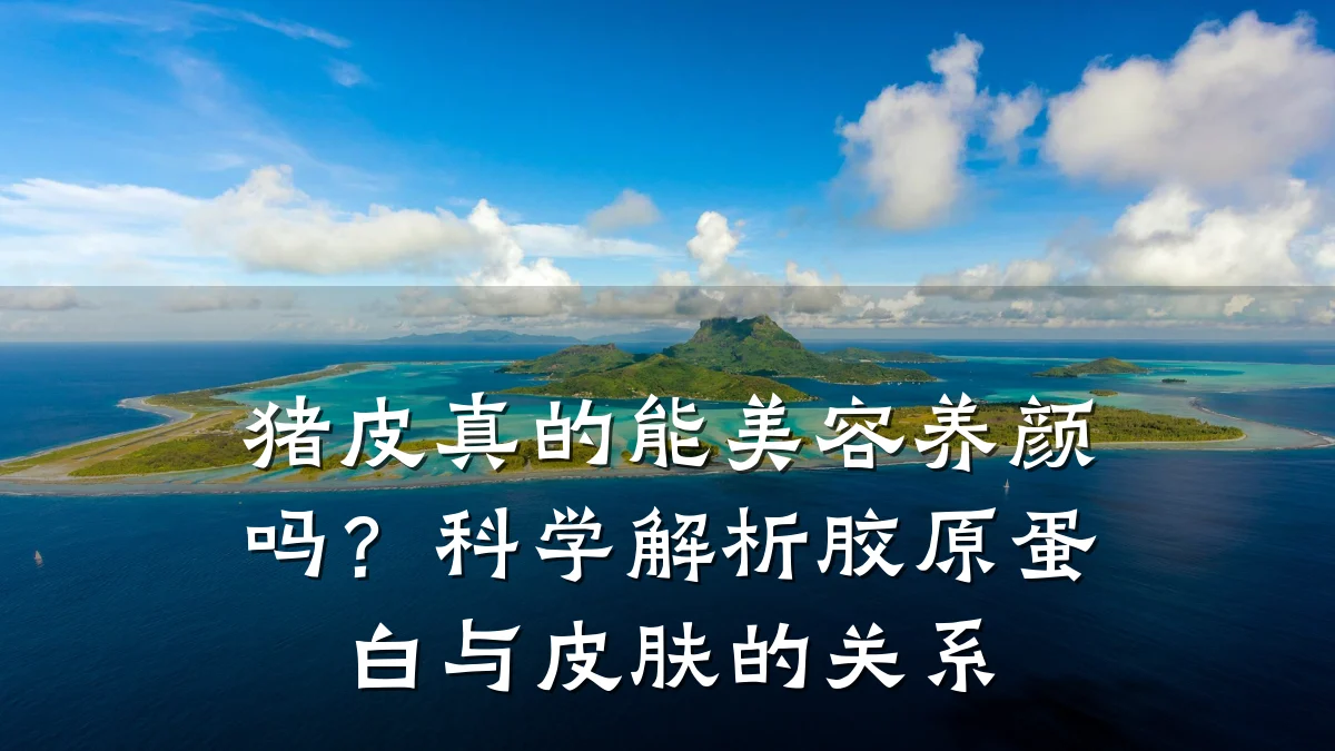 猪皮真的能美容养颜吗?科学解析胶原蛋白与皮肤的关系