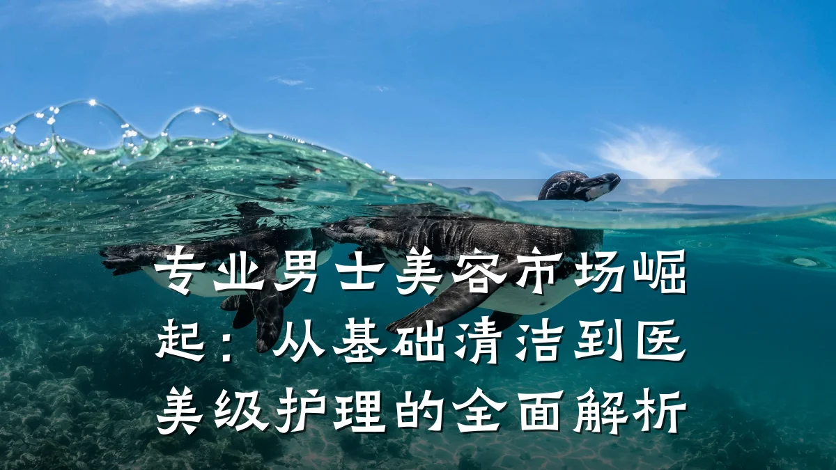 专业男士美容市场崛起:从基础清洁到医美级护理的全面解析