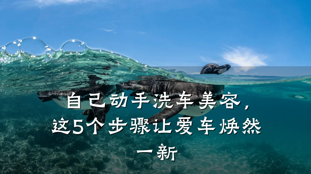 自己动手洗车美容，这5个步骤让爱车焕然一新