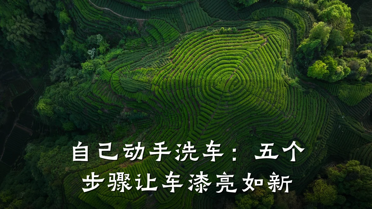 自己动手洗车:五个步骤让车漆亮如新
