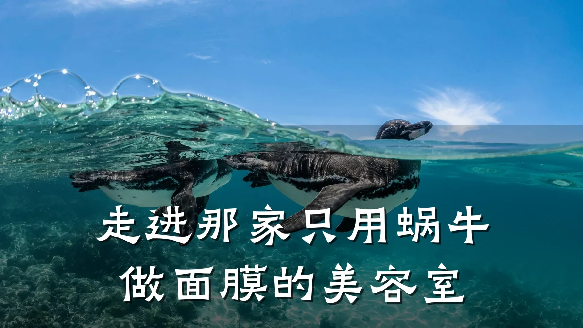 走进那家只用蜗牛做面膜的美容室