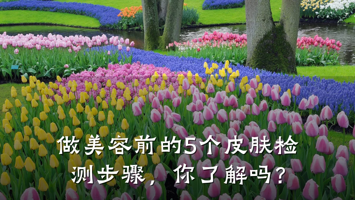 做美容前的5个皮肤检测步骤,你了解吗?