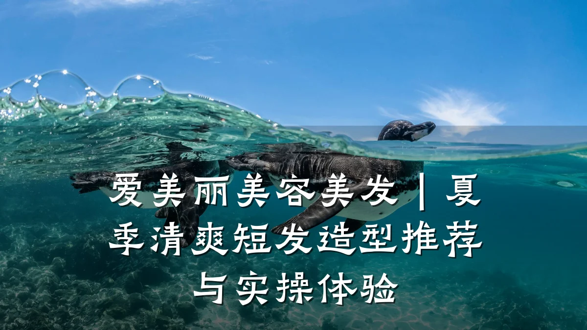 爱美丽美容美发｜夏季清爽短发造型推荐与实操体验