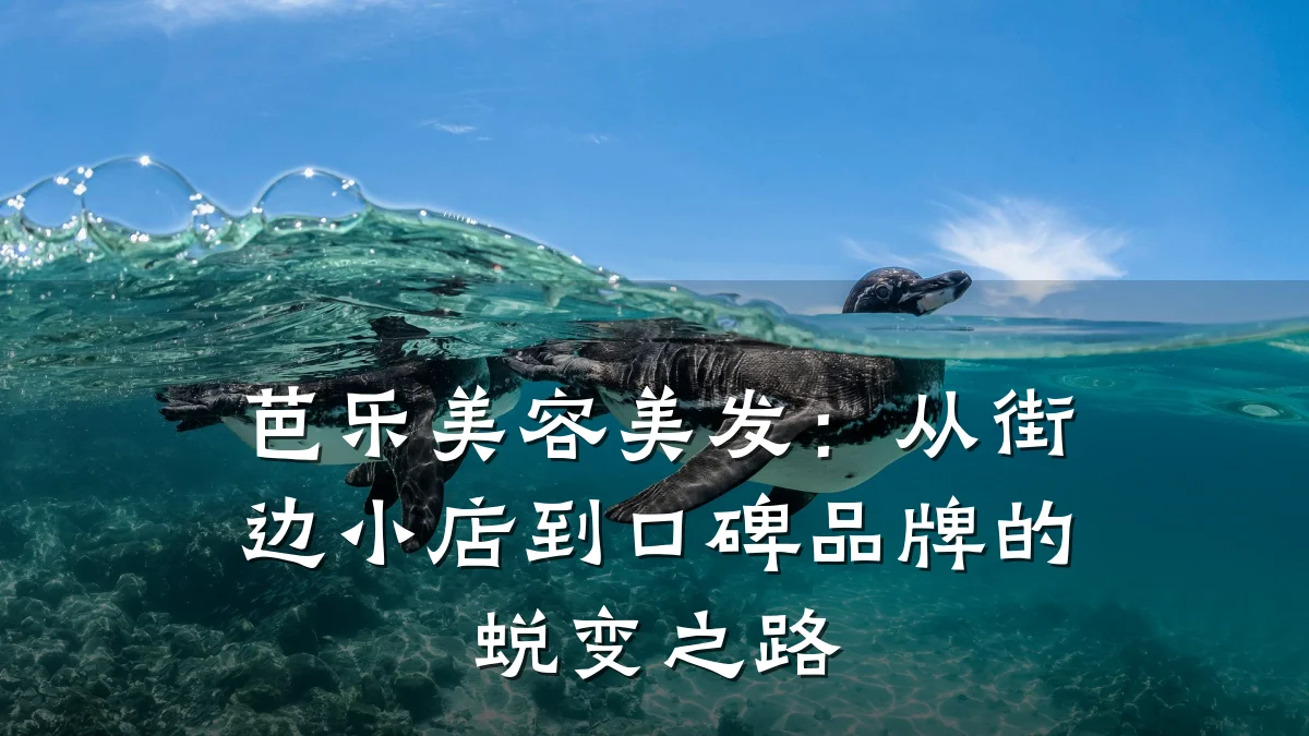 芭乐美容美发：从街边小店到口碑品牌的蜕变之路